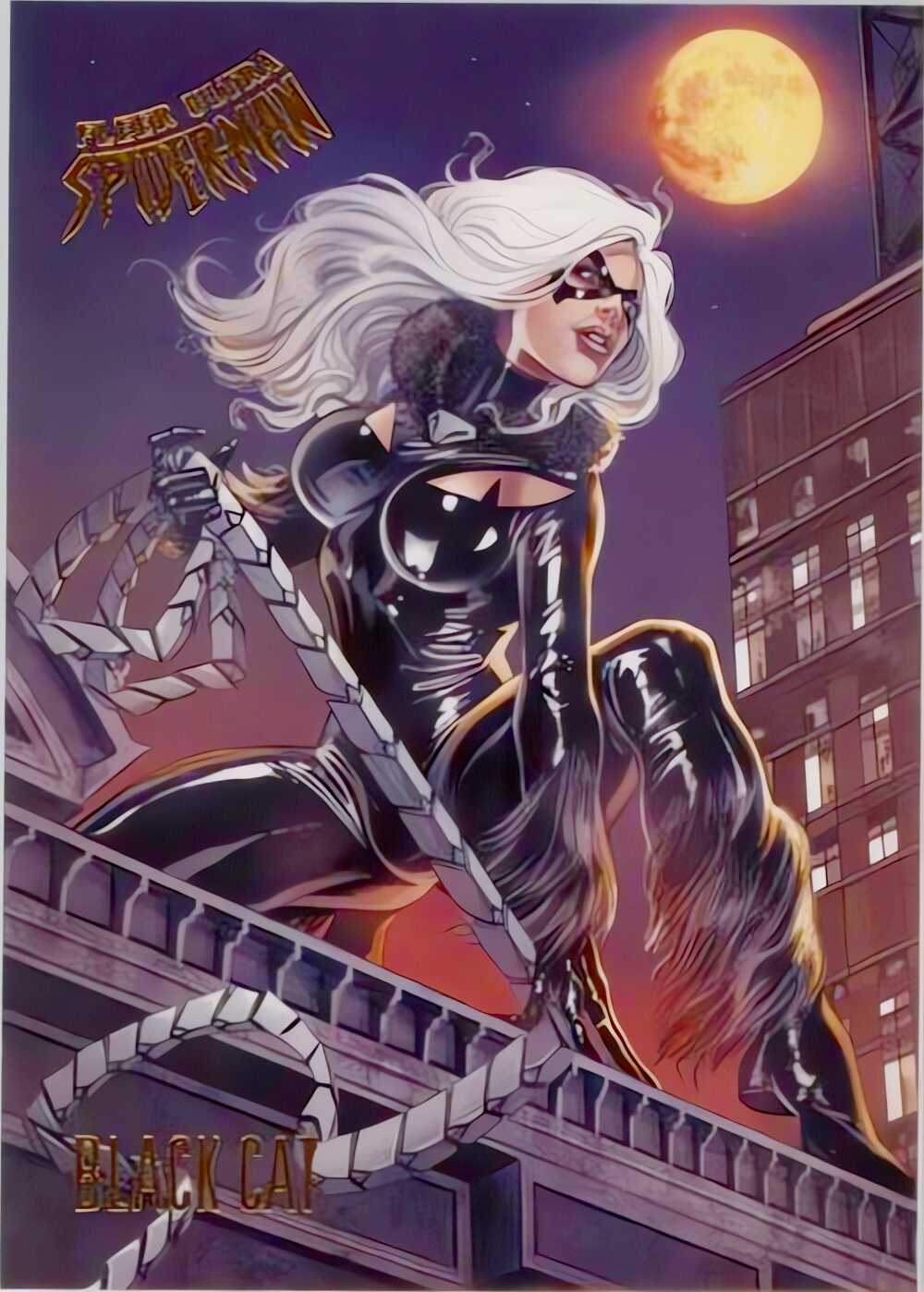 Black Cat