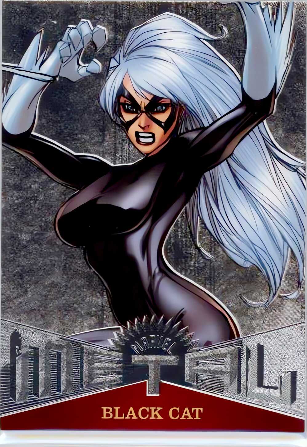 Black Cat