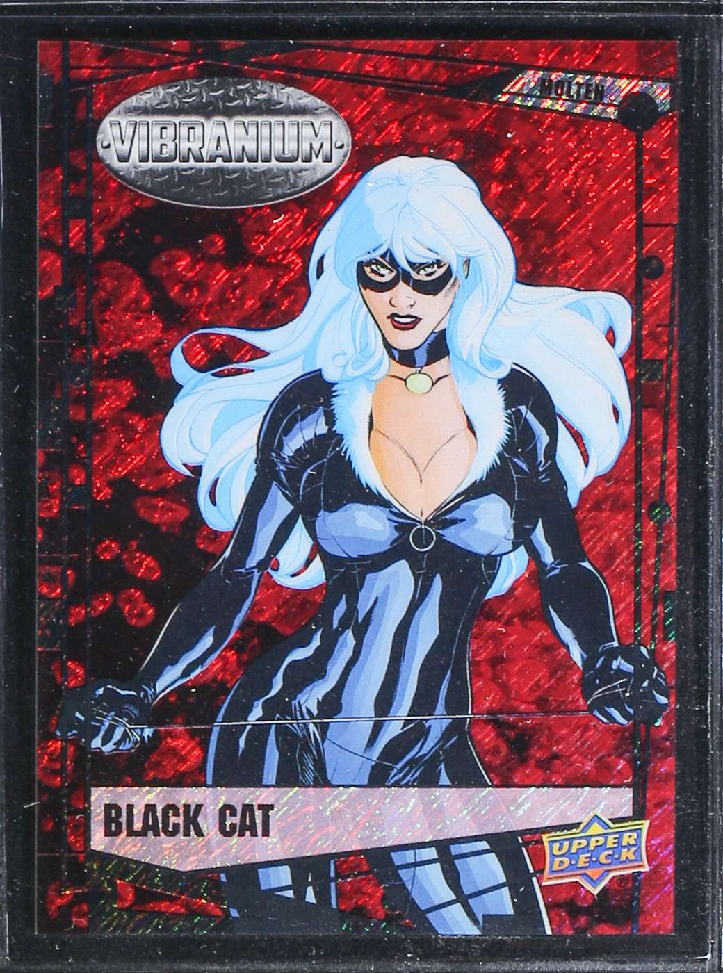 Black Cat