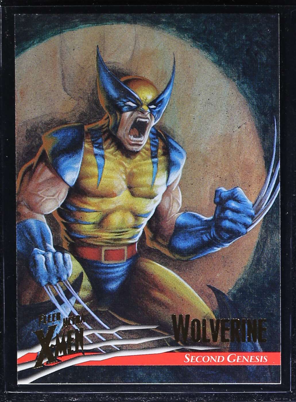 Wolverine