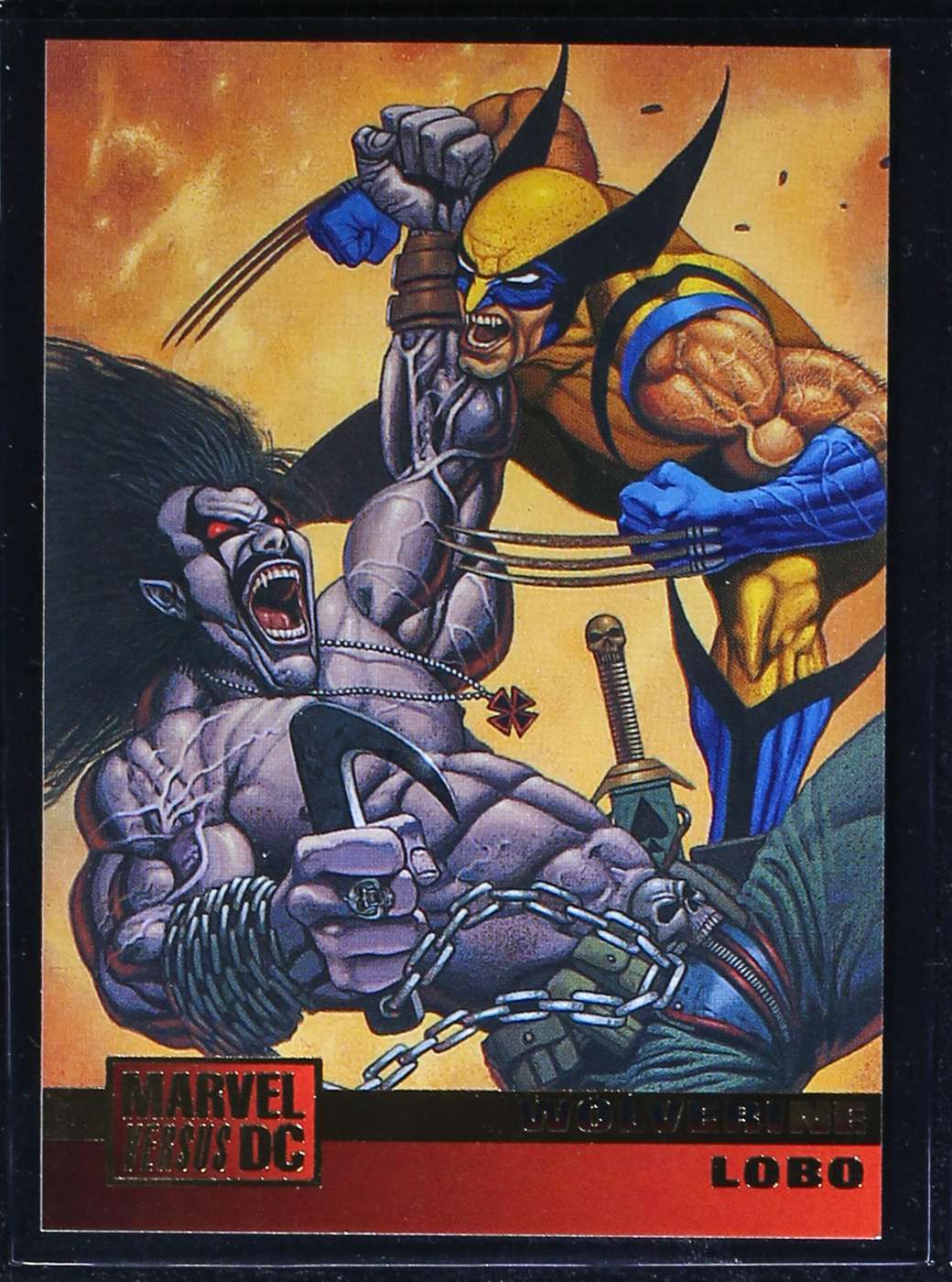 Wolverine / Lobo
