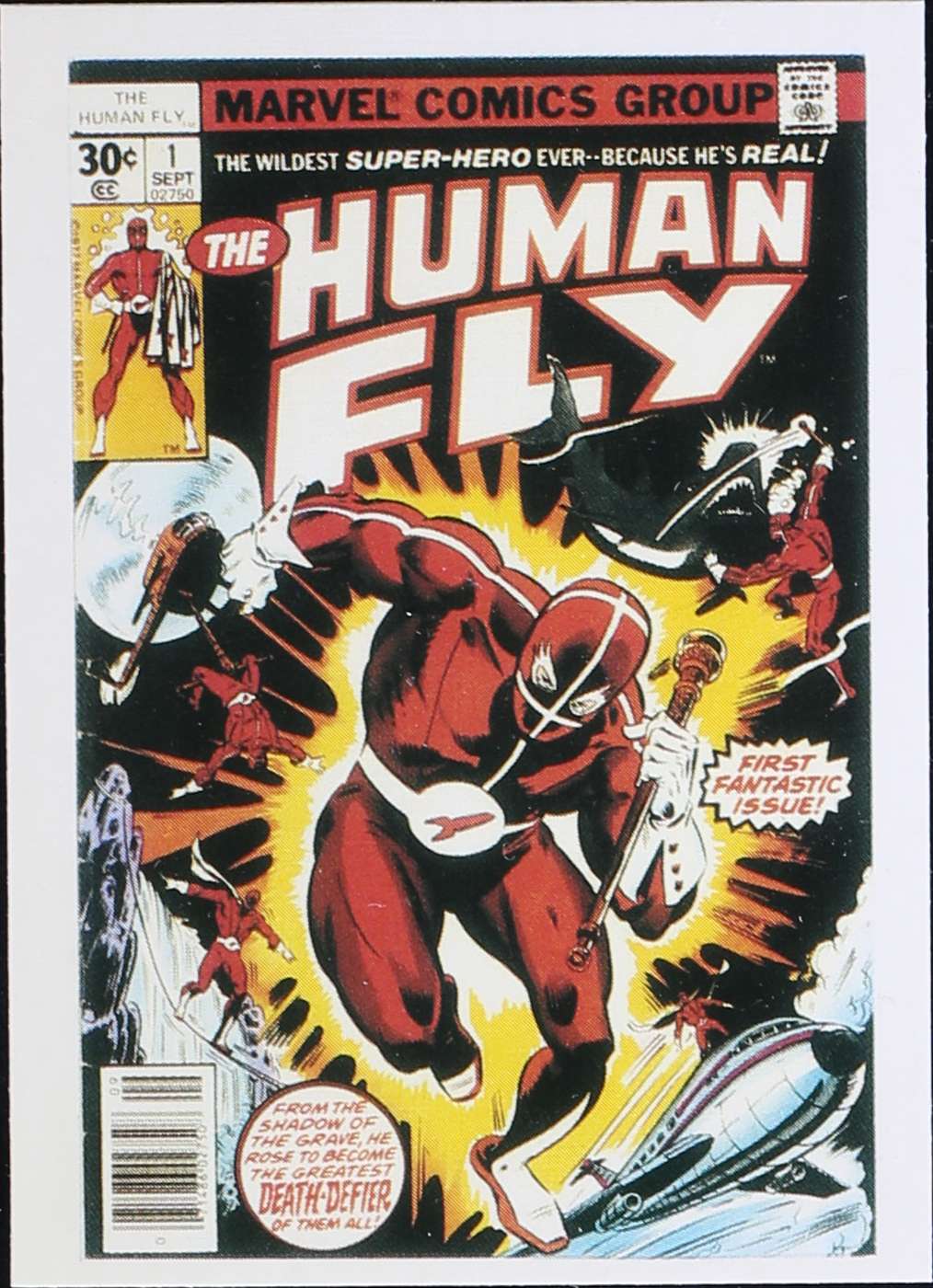 The Human Fly
