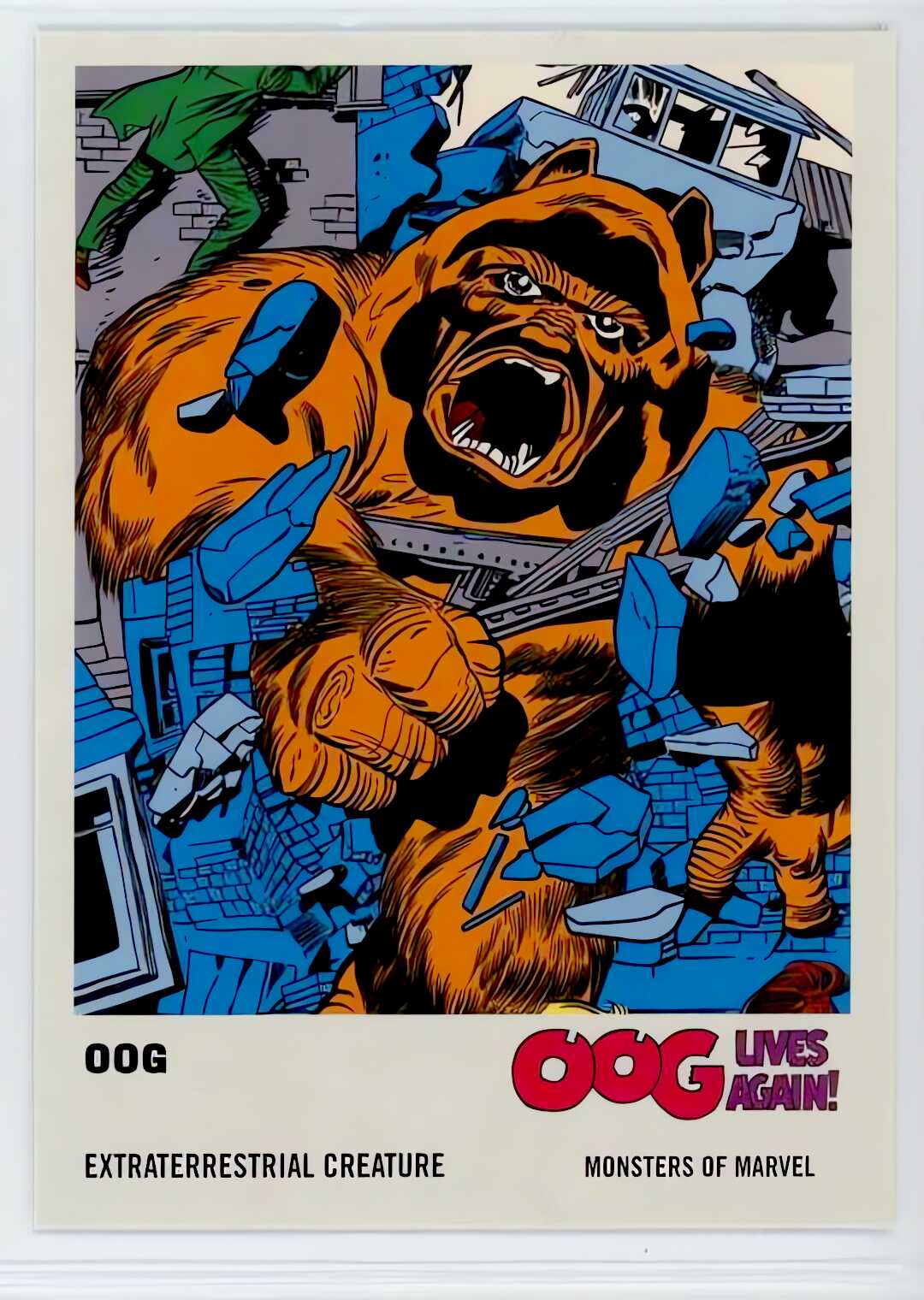 Oog