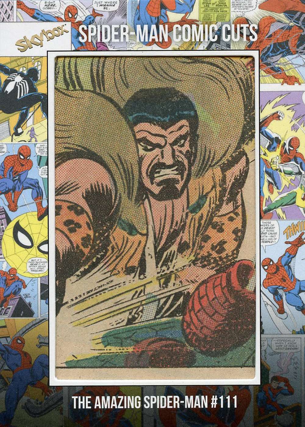 Amazing Spider-Man #111