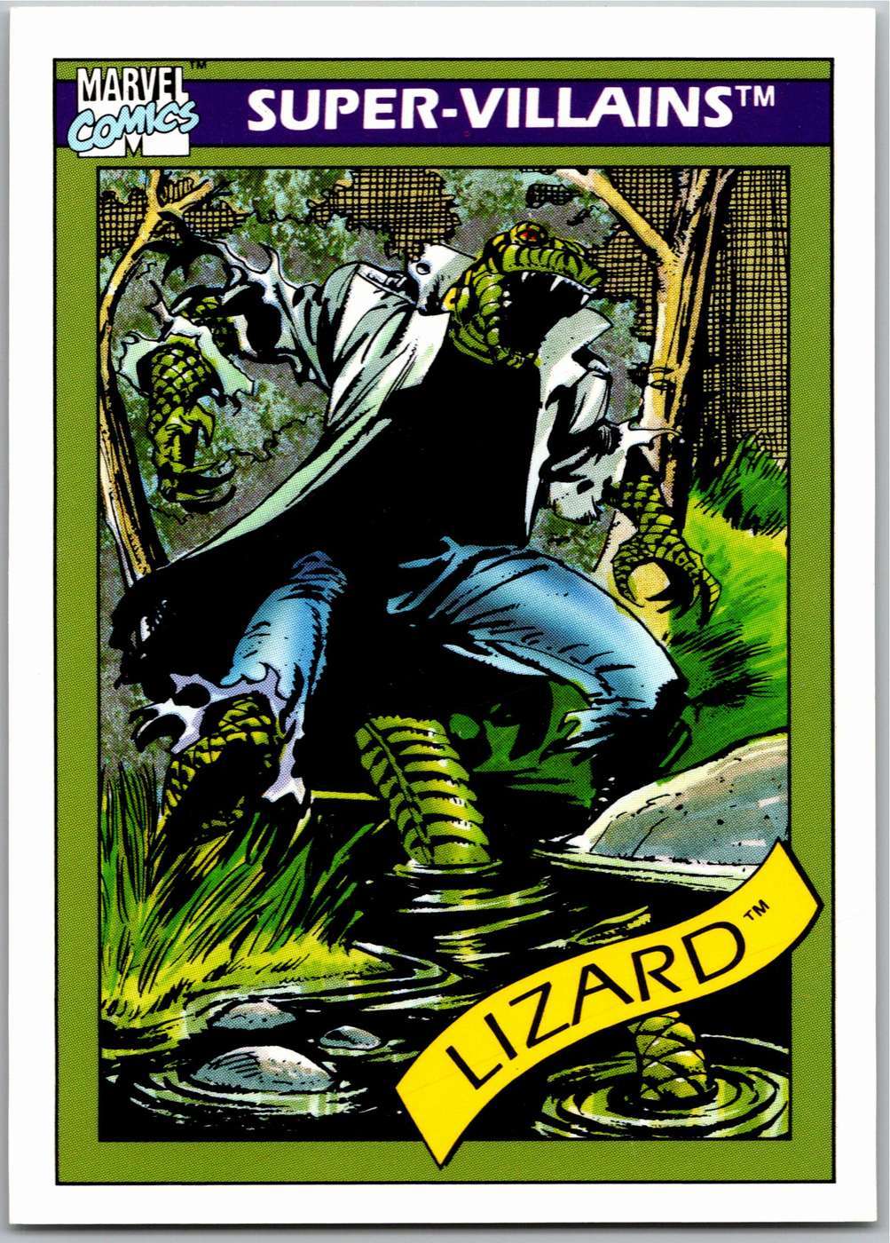 Lizard