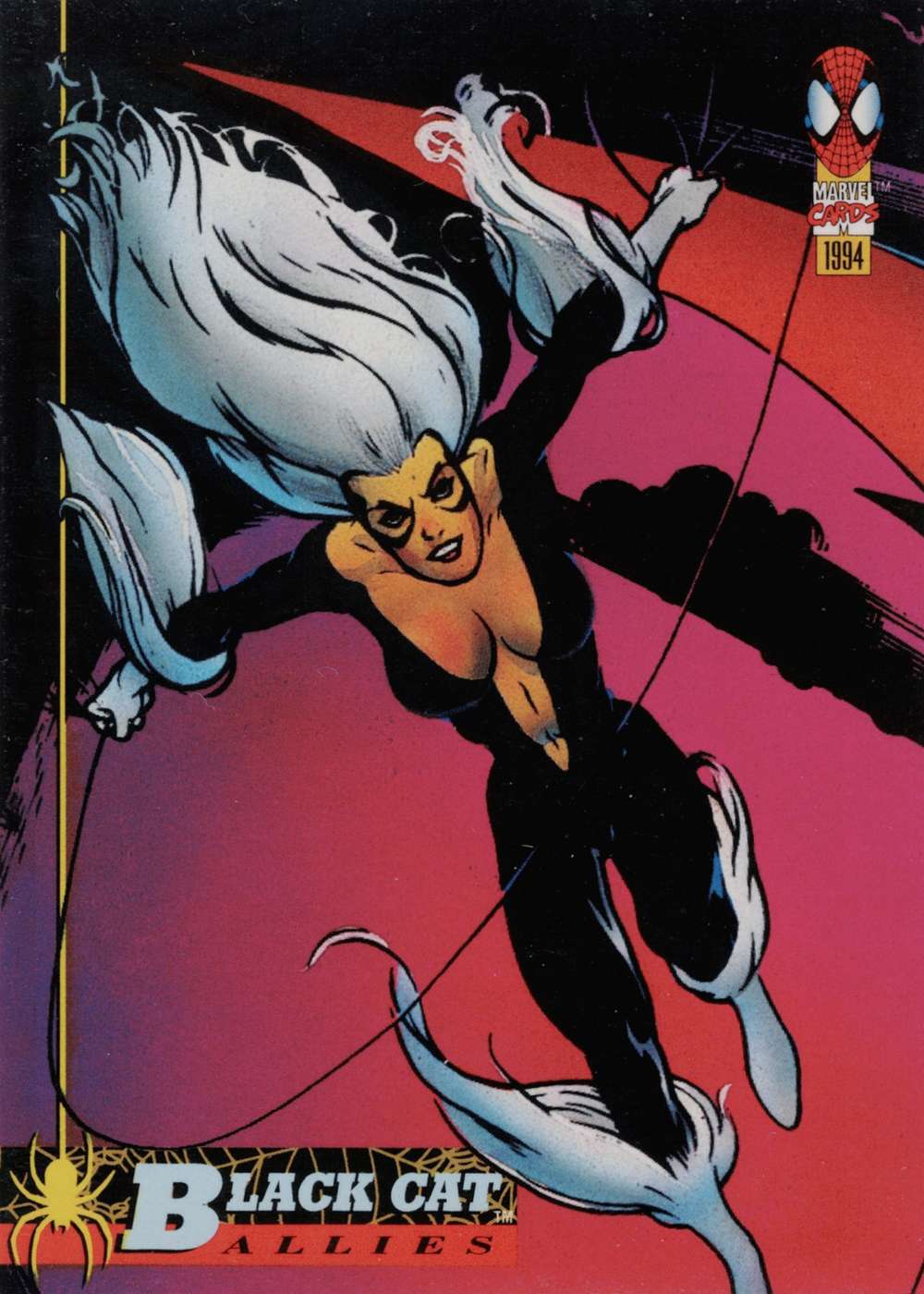 Black Cat