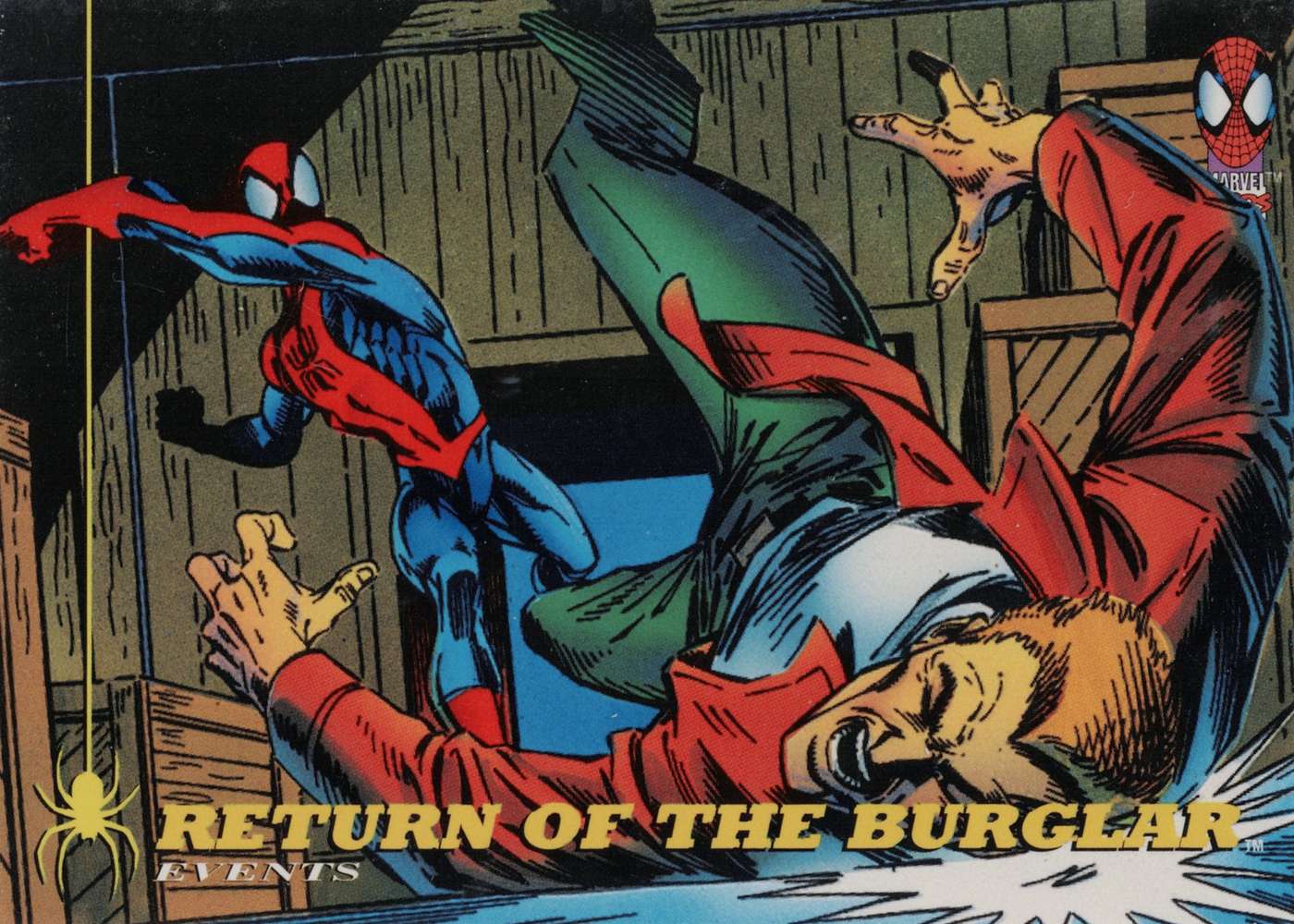 Return of the Burglar