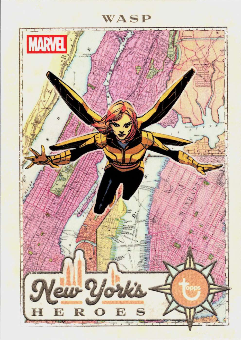 Wasp