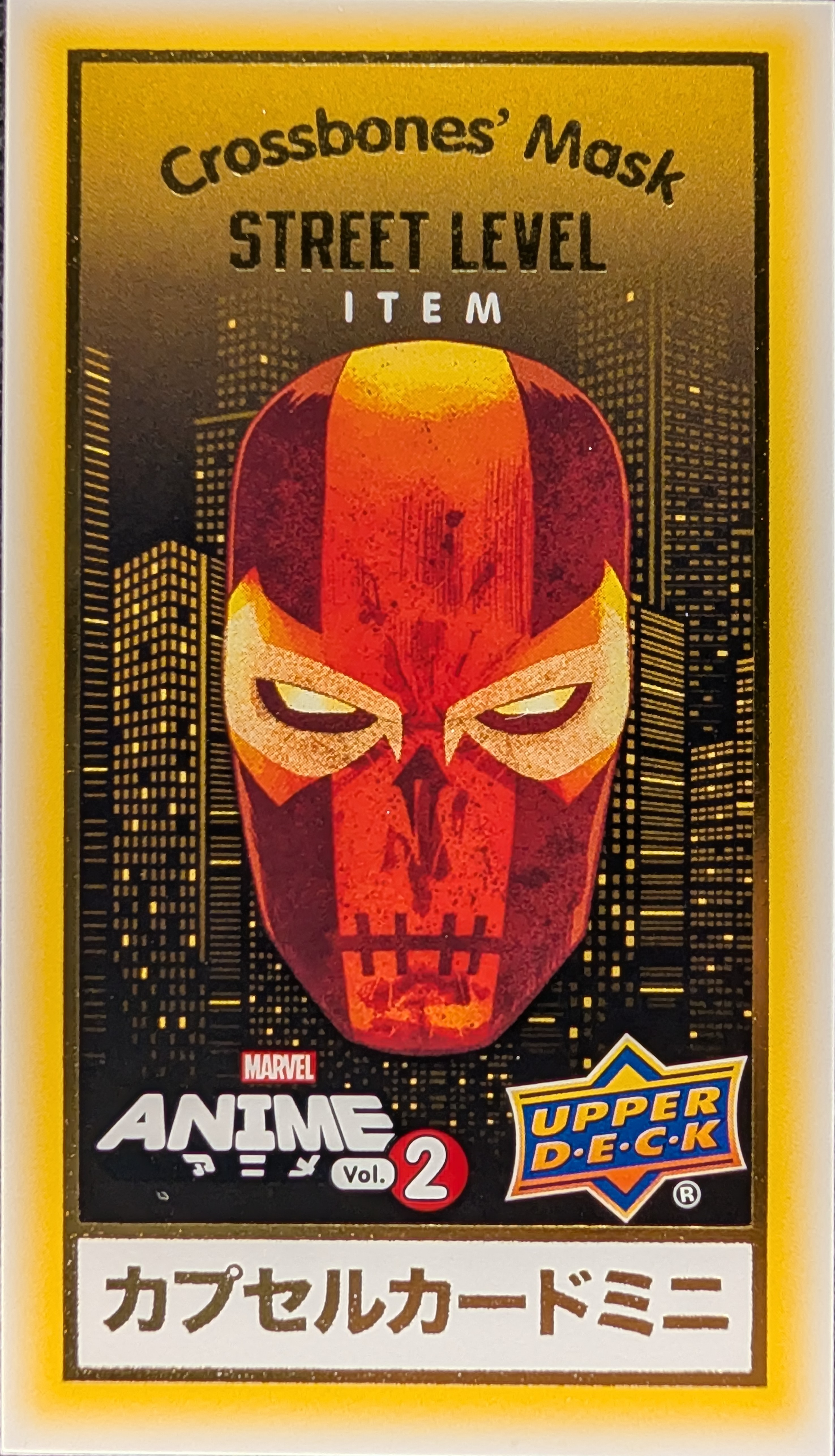 Crossbones' Mask